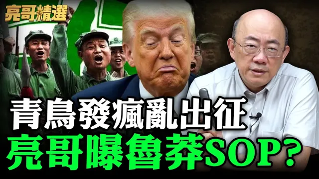 青鸟发疯乱出征 亮哥曝鲁莽SOP？【亮哥精选｜郭正亮】@funseeTW @Guovision-TV