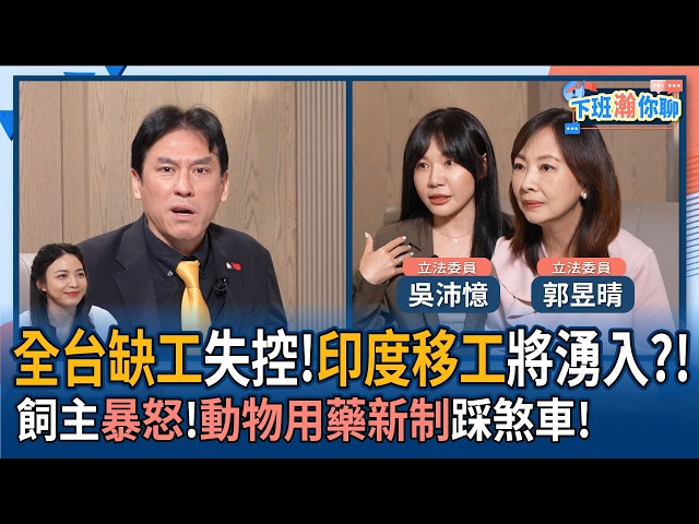 【下班瀚你聊】全台缺工失控!印度移工将涌入?!饲主暴怒!吴沛忆.郭昱晴:动物用药新制踩煞车!2026-04-15 Ep.368@TheStormMedia